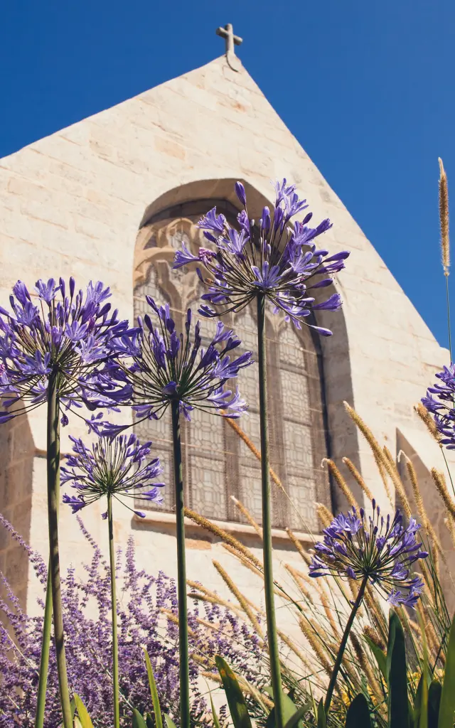 Außenansicht der Kirche Notre Dame Izel Vor mit Buntglasfenstern und lila Agapanthus