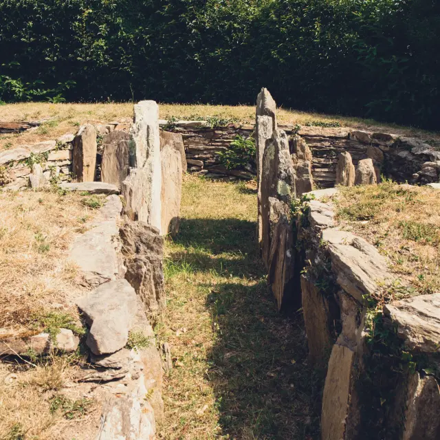 A photo of a stone megalithic site, with vertical slabs and low walls forming an enclosure, with a dry grassy ground bordered by a dark wooded area to the rear.