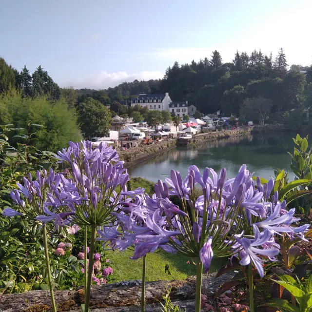This photo shows purple flowers (agapanthus) and vegetation in the foreground. In the background, a body of water with reflections, a bank with white stalls/parasols - a market atmosphere, then white houses and a wooded area under a blue sky.