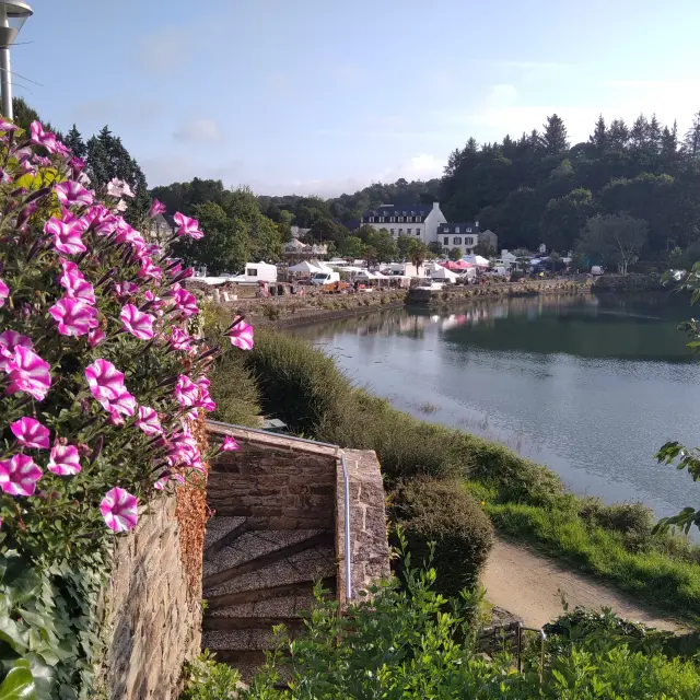 This photo shows a large mass of pink and white flowers (petunias) spilling over a low stone wall in the left foreground. Below, a stone staircase leads down to a path. In the centre and to the right, a calm body of water (river or cove) runs alongside a green bank with a pathway. Opposite, white houses and buildings can be seen on the water's edge, with a wooded area behind them. The sky is clear blue.