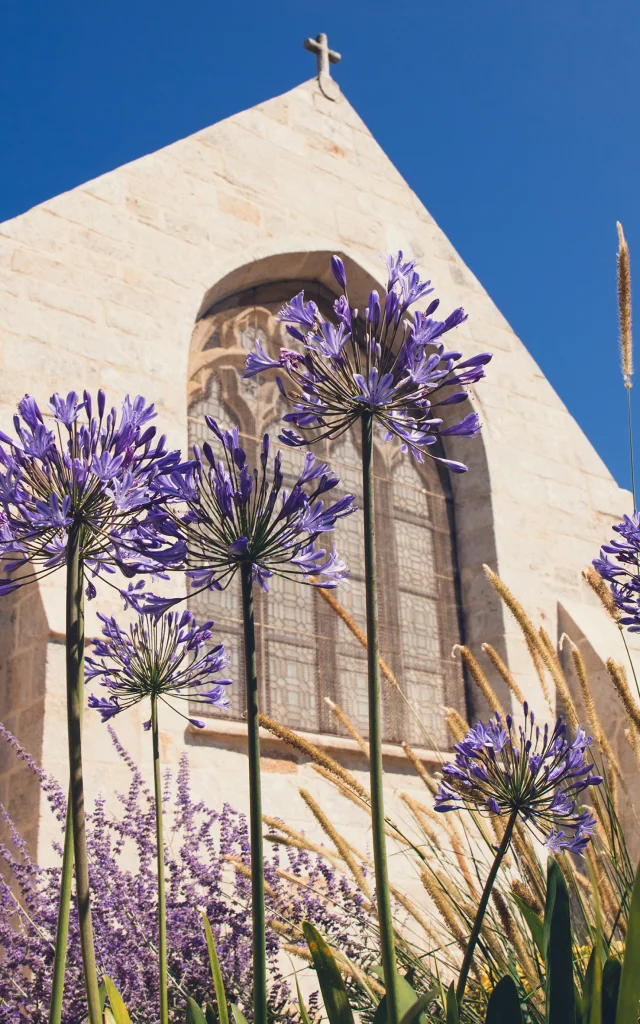 Vue extérieure de l'église Notre Dame Izel Vor avec des vitraux et des agapanthes mauves
