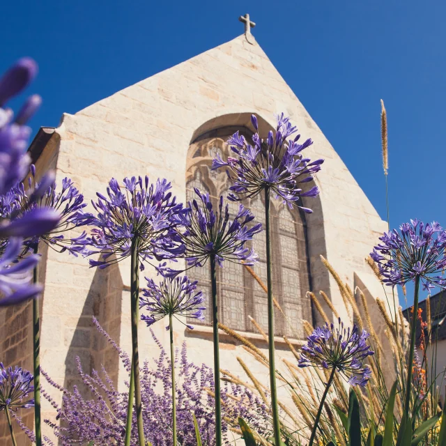 Buitenaanzicht van de kerk Notre Dame Izel Vor met glas-in-loodramen en mauve agapanthes