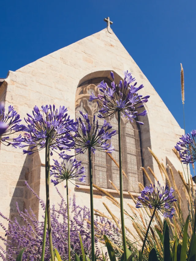 Vue extérieure de l'église Notre Dame Izel Vor avec des vitraux et des agapanthes mauves