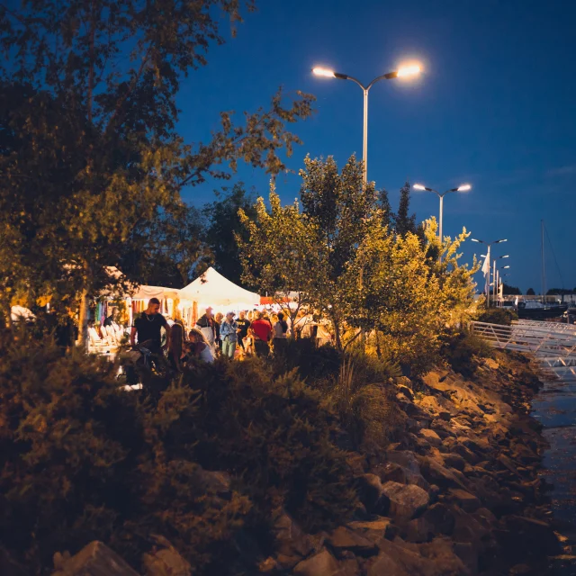 Marche Nocturne Julie Roux 1