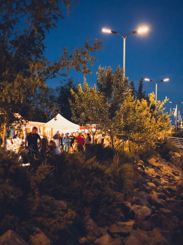 Julie Roux Nachtwandeling 1