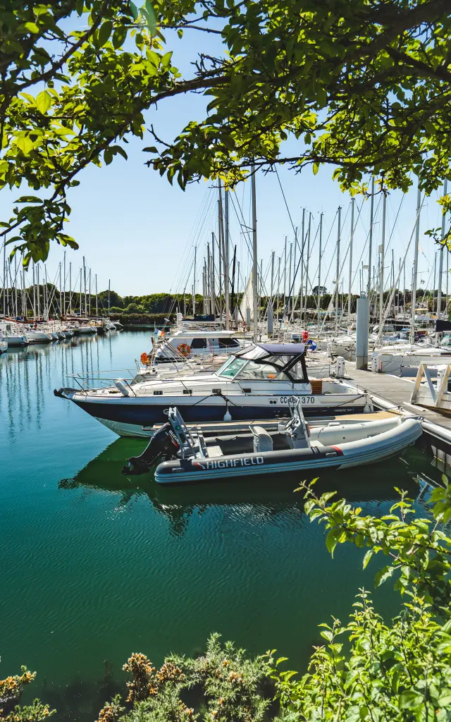 Une photo qui montre un port de plaisance avec de nombreux voiliers amarrés, l’eau turquoise, et un arbre au premier plan dont les branches et feuilles encadrent l’image. Au centre, plusieurs bateaux sont proches d’un ponton; on distingue aussi une rangée de mâts de voiliers au fond.