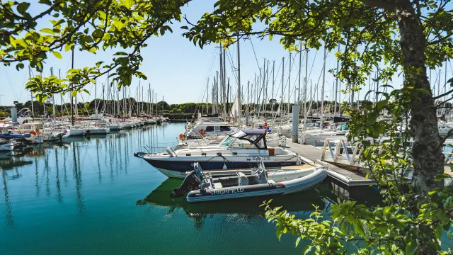 Une photo qui montre un port de plaisance avec de nombreux voiliers amarrés, l’eau turquoise, et un arbre au premier plan dont les branches et feuilles encadrent l’image. Au centre, plusieurs bateaux sont proches d’un ponton; on distingue aussi une rangée de mâts de voiliers au fond.