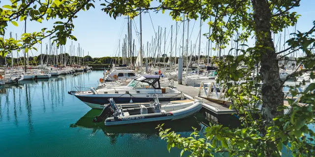 Dieses Foto zeigt einen Yachthafen mit vielen Segelbooten, türkisfarbenem Wasser und einem Baum im Vordergrund, dessen Äste und Blätter das Bild einrahmen. In der Mitte sind mehrere Boote in der Nähe eines Stegs zu sehen, und im Hintergrund ist eine Reihe von Masten von Segelbooten zu erkennen.