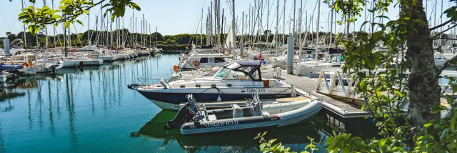 Une photo qui montre un port de plaisance avec de nombreux voiliers amarrés, l’eau turquoise, et un arbre au premier plan dont les branches et feuilles encadrent l’image. Au centre, plusieurs bateaux sont proches d’un ponton; on distingue aussi une rangée de mâts de voiliers au fond.