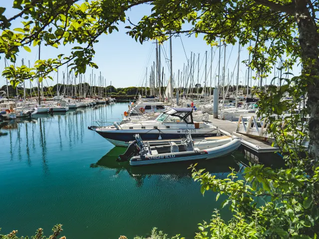 Une photo qui montre un port de plaisance avec de nombreux voiliers amarrés, l’eau turquoise, et un arbre au premier plan dont les branches et feuilles encadrent l’image. Au centre, plusieurs bateaux sont proches d’un ponton; on distingue aussi une rangée de mâts de voiliers au fond.