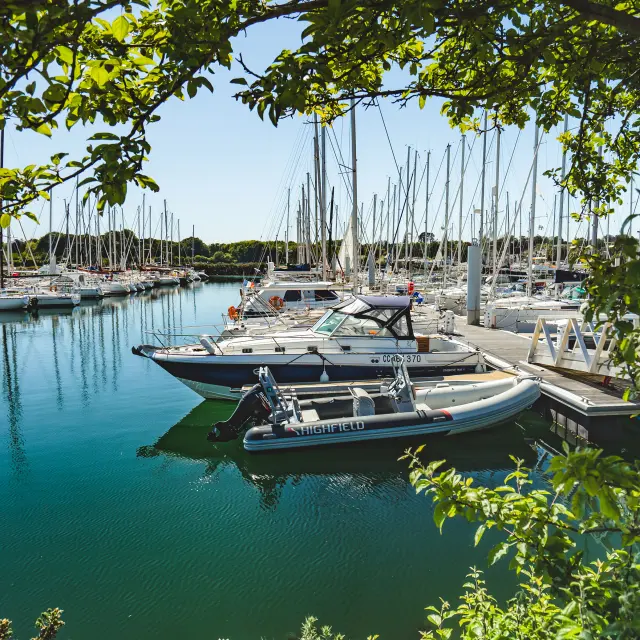 Une photo qui montre un port de plaisance avec de nombreux voiliers amarrés, l’eau turquoise, et un arbre au premier plan dont les branches et feuilles encadrent l’image. Au centre, plusieurs bateaux sont proches d’un ponton; on distingue aussi une rangée de mâts de voiliers au fond.