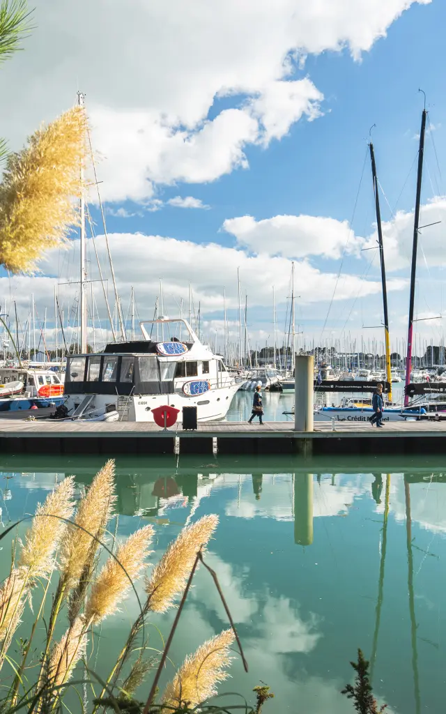 Ein Foto von einem Yachthafen, das ruhiges türkisfarbenes Wasser mit Spiegelungen, einen Steg, Boote und viele Masten unter einem blauen Himmel mit Wolken zeigt. Im Vordergrund des Bildes sind Kiefernzweige und hohes Gras zu sehen.