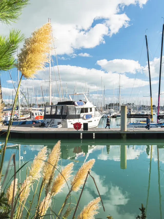 Une photo d’un port de plaisance qui montre de l’eau calme turquoise avec reflets, un ponton, des bateaux et de nombreux mâts, sous un ciel bleu avec nuages. Au premier plan de la photo, des branches de pin et des herbes hautes.