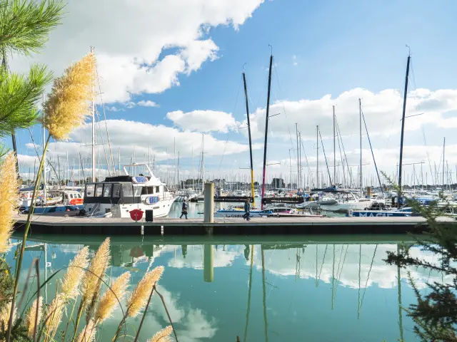 Une photo d’un port de plaisance qui montre de l’eau calme turquoise avec reflets, un ponton, des bateaux et de nombreux mâts, sous un ciel bleu avec nuages. Au premier plan de la photo, des branches de pin et des herbes hautes.