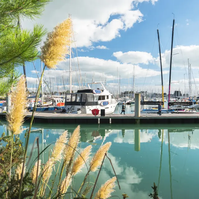 A photo of a marina showing calm turquoise water with reflections, a pontoon, boats and numerous masts, under a blue sky with clouds. In the foreground of the photo, pine branches and tall grass.