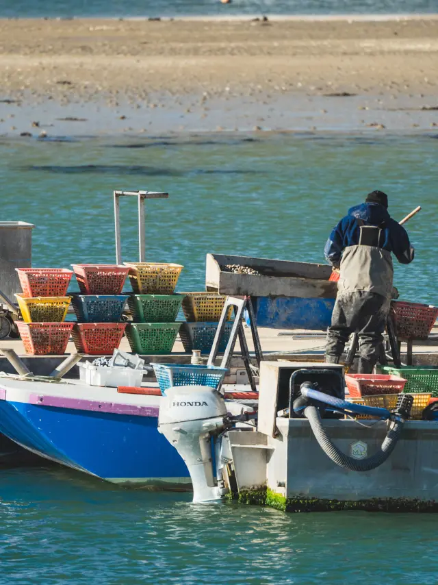 Ponton avec des bateaux de pêche, des caisses colorées remplies de coquillages, et un ostréiculteur qui travaille