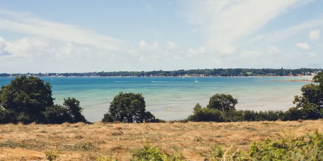 Ein Foto einer Küstenlandschaft, das im Vordergrund goldene Gräser/Heide und Büsche zeigt, dann ein türkisblaues Meer, mit einer bewaldeten Küste in der Ferne unter einem klaren Himmel mit großen weißen Wolken.