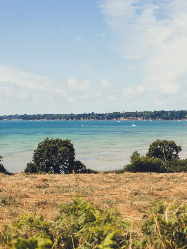 Une photo de paysage côtier qui montre un premier plan d’herbes/landes dorées et des buissons, puis une mer bleu-turquoise, avec une côte boisée au loin sous un ciel clair avec de grands nuages blancs.