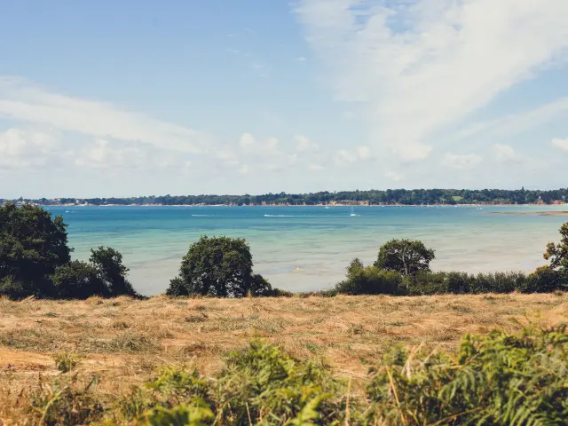 Ein Foto einer Küstenlandschaft, das im Vordergrund goldene Gräser/Heide und Büsche zeigt, dann ein türkisblaues Meer, mit einer bewaldeten Küste in der Ferne unter einem klaren Himmel mit großen weißen Wolken.