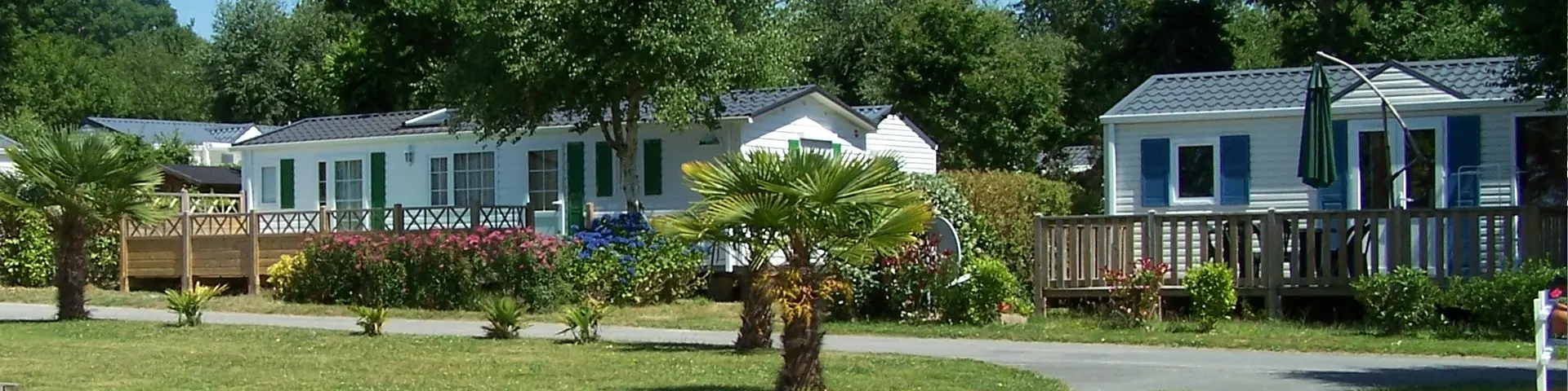 A photo of a campsite showing several white mobile homes lined up, wooden terraces, a green lawn in the foreground, a few small palm trees and some tall trees, under a blue sky.