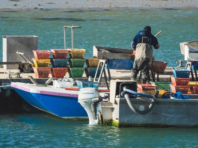 Ponton avec des bateaux de pêche, des caisses colorées remplies de coquillages, et un ostréiculteur qui travaille