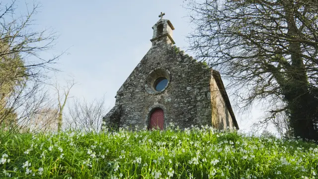 The photo shows a small stone chapel, seen from a slope covered with green grass and many small white flowers. The chapel has a stone façade, a small bell tower on the roof with a cross, a round oculus (circular window) and a red door. Trees with slender branches frame the chapel, and the sky is clear.