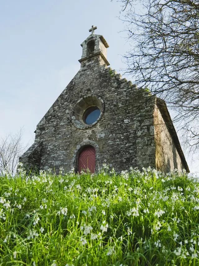 La photo montre une petite chapelle en pierre, vue en contre-plongée depuis une pente couverte d’herbe verte et de nombreuses petites fleurs blanches. La chapelle a une façade en pierres, un petit clocher sur le toit avec une croix, un oculus rond (fenêtre circulaire) et une porte rouge. Des arbres aux branches fines encadrent la chapelle, et le ciel est clair.