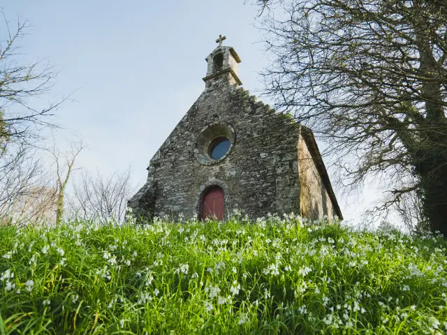 The photo shows a small stone chapel, seen from a slope covered with green grass and many small white flowers. The chapel has a stone façade, a small bell tower on the roof with a cross, a round oculus (circular window) and a red door. Trees with slender branches frame the chapel, and the sky is clear.