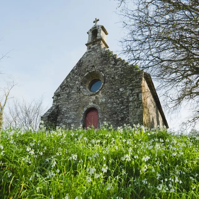 Das Foto zeigt eine kleine Steinkapelle aus der Untersicht von einem Hang aus, der mit grünem Gras und vielen kleinen weißen Blumen bewachsen ist. Die Kapelle hat eine Steinfassade, einen kleinen Glockenturm auf dem Dach mit einem Kreuz, ein rundes Oculus (kreisförmiges Fenster) und eine rote Tür. Bäume mit dünnen Ästen rahmen die Kapelle ein und der Himmel ist klar.