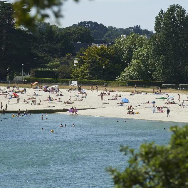 Une photo de plage de sable avec beaucoup de personnes allongées ou debout, des parasols, et des baigneurs dans l’eau au premier plan; des arbres et des maisons/bâtiments en arrière-plan.