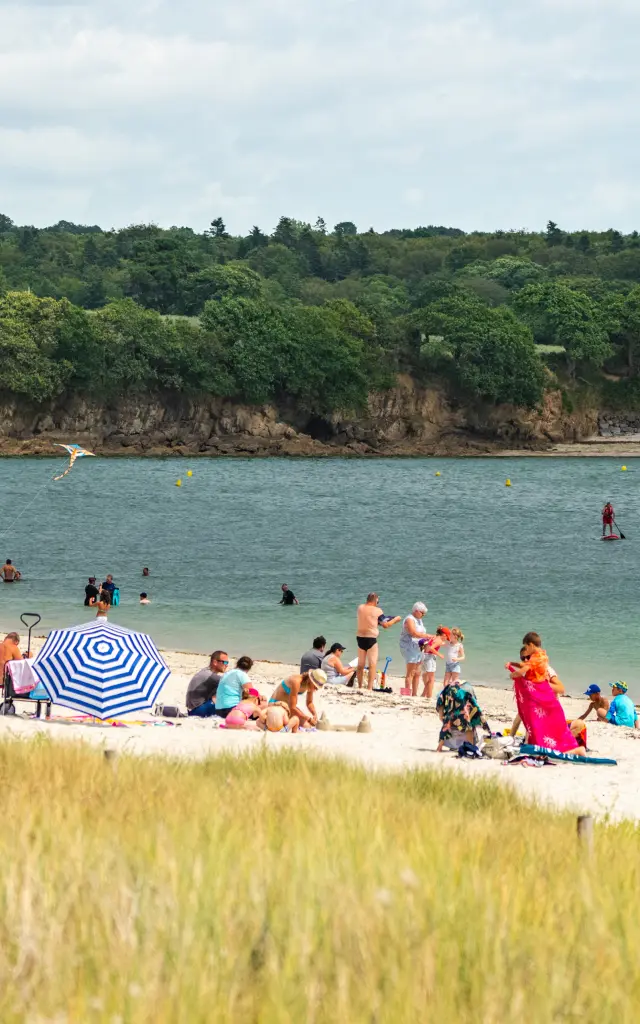 Een opname van een zandstrand met veel mensen (handdoeken, parasols) en anderen in het water; op de voorgrond hoog gras; aan de overkant een strook bos aan de kust onder een bewolkte lucht.