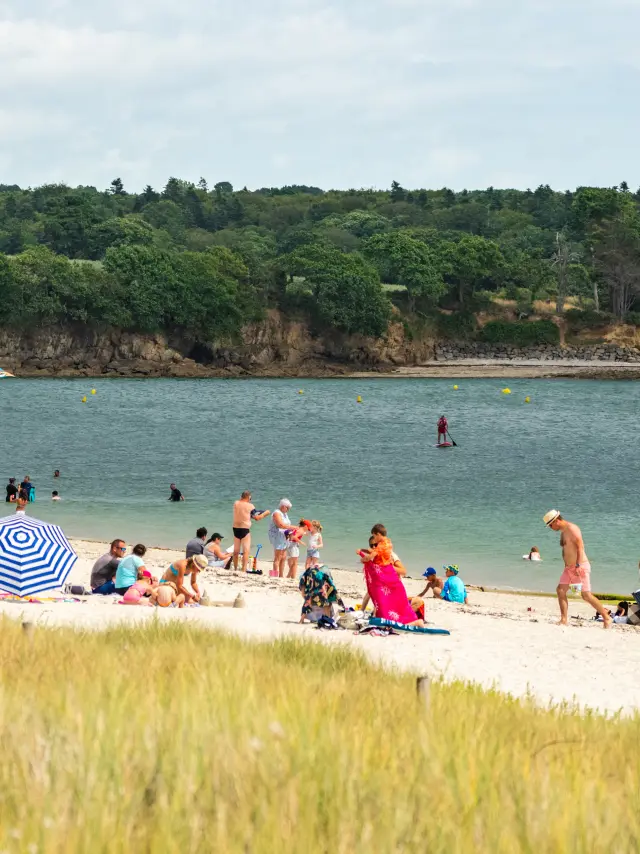 Une photo de plage de sable avec de nombreuses personnes installées (serviettes, parasols) et d’autres dans l’eau; au premier plan, de l’herbe haute; en face, une bande boisée sur la côte sous un ciel nuageux.