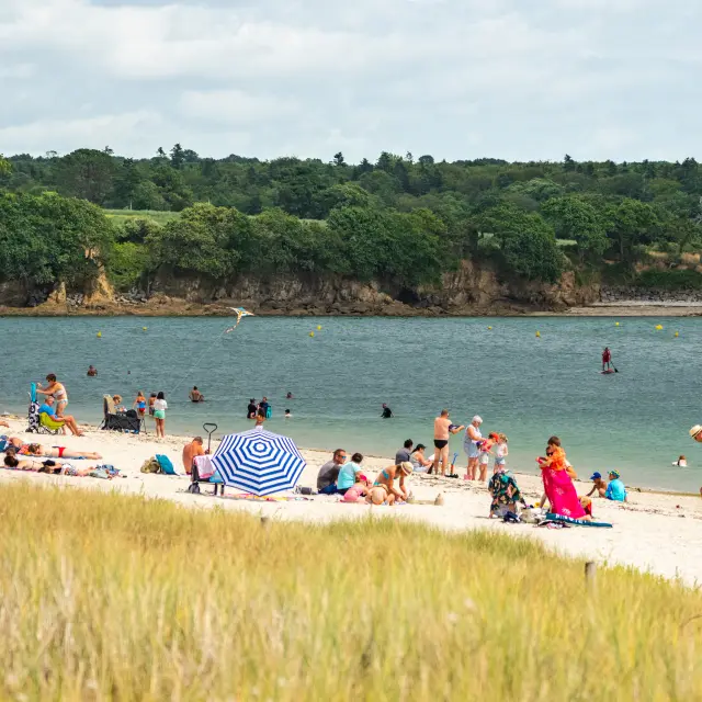 A shot of a sandy beach with lots of people (towels, parasols) and others in the water; in the foreground, tall grass; opposite, a strip of woodland on the coast under a cloudy sky.