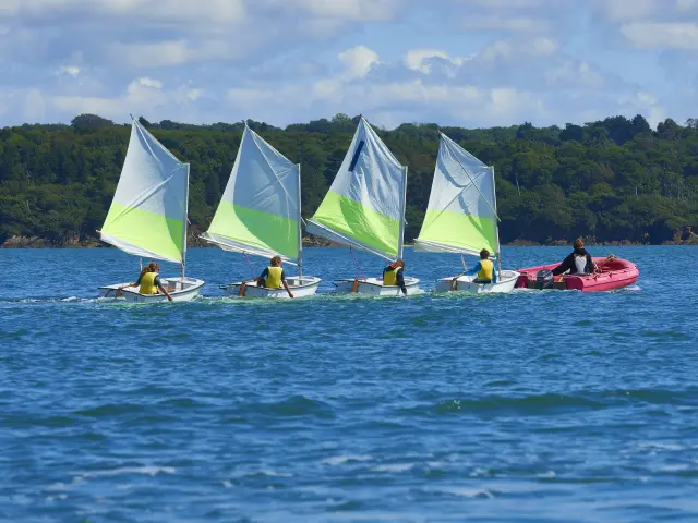 La photo montre un plan d’eau bleu avec de petites vagues; au loin, une bande de forêt verte sous un ciel bleu partiellement nuageux. Sur l’eau, quatre petits dériveurs (voiles blanches avec une bande vert clair) avancent en ligne; chaque bateau semble occupé par une personne portant un gilet jaune. À droite des dériveurs, un petit bateau rose suit, avec deux personnes à bord.