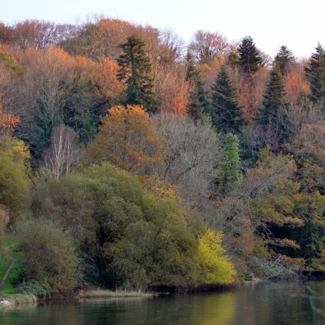 Anse Saint Laurent Autumn Philippe Lavenant