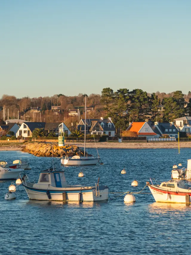 Une photo de bateaux au mouillage qui montre une étendue d’eau avec plusieurs petits bateaux (principalement des bateaux à moteur et un voilier) amarrés sur des bouées blanches, et au fond une rive avec des maisons et des arbres sous un ciel clair.