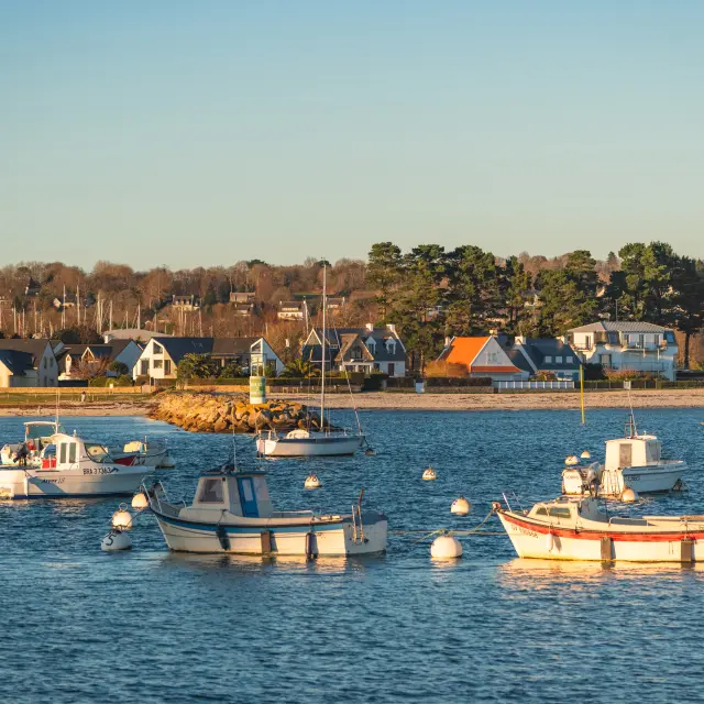Une photo de bateaux au mouillage qui montre une étendue d’eau avec plusieurs petits bateaux (principalement des bateaux à moteur et un voilier) amarrés sur des bouées blanches, et au fond une rive avec des maisons et des arbres sous un ciel clair.