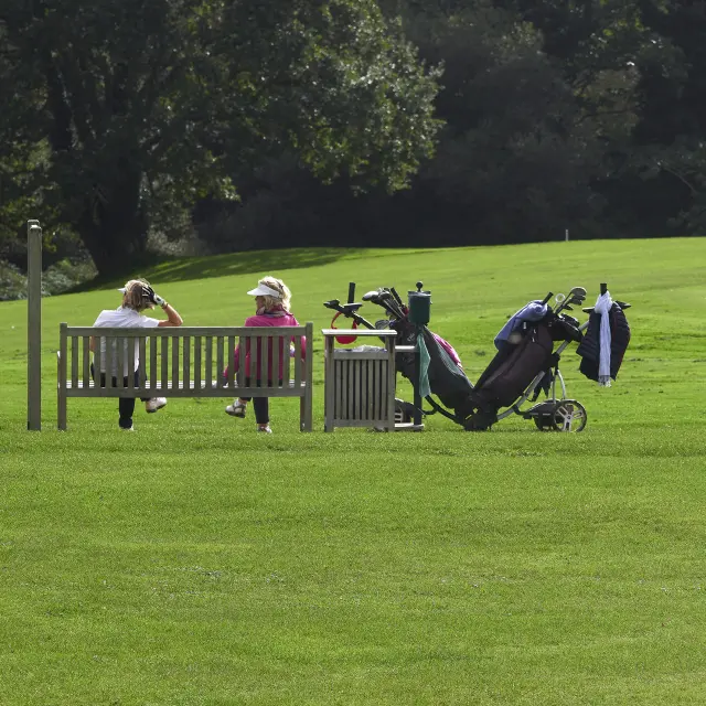 A shot of a large green golf course, with two people sitting on a bench in the middle, and 2 golf bags lying next to them. Dark trees form the background at the top of the image.