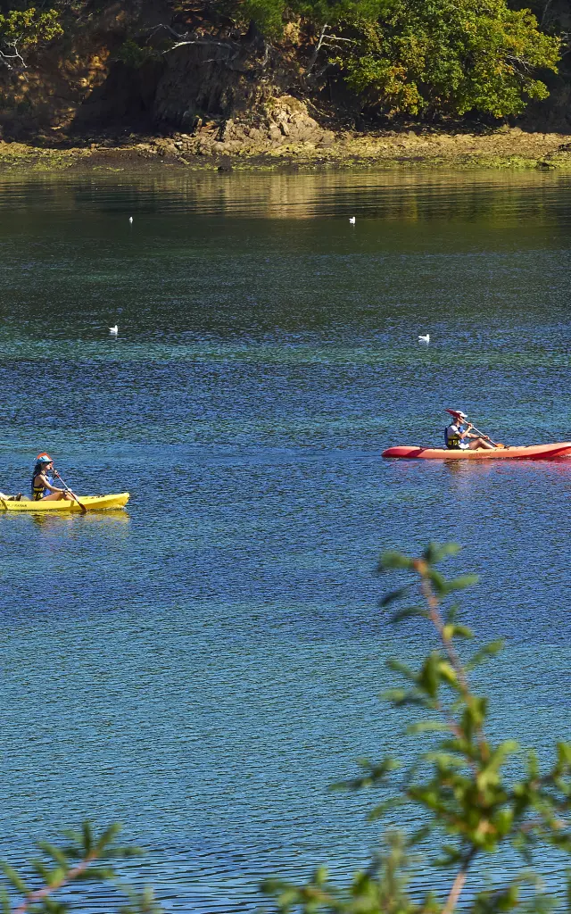 La photo montre une étendue d’eau bleue et verte, avec une berge rocheuse et des arbres en haut de l’image. Deux kayaks sont sur l’eau, assez loin: un kayak jaune avec deux personnes à gauche, et un kayak rouge avec une personne vers le centre-droit. Des oiseaux sont dispersés sur l’eau. Des branches floues apparaissent au premier plan en bas.