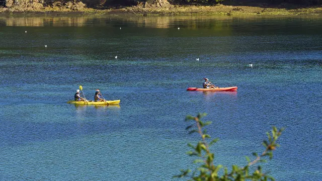 De foto toont een stuk blauw en groen water, met een rotsachtige oever en bomen bovenaan het beeld. Twee kajaks liggen op het water, vrij ver weg: een gele kajak met twee personen links, en een rode kajak met één persoon rechts in het midden. Vogels zijn verspreid over het water. Vage takken verschijnen op de lagere voorgrond.