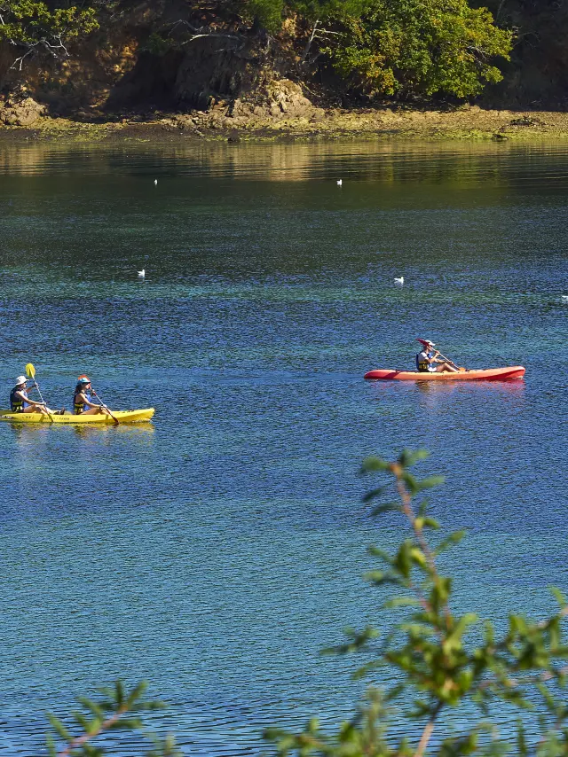 La photo montre une étendue d’eau bleue et verte, avec une berge rocheuse et des arbres en haut de l’image. Deux kayaks sont sur l’eau, assez loin: un kayak jaune avec deux personnes à gauche, et un kayak rouge avec une personne vers le centre-droit. Des oiseaux sont dispersés sur l’eau. Des branches floues apparaissent au premier plan en bas.