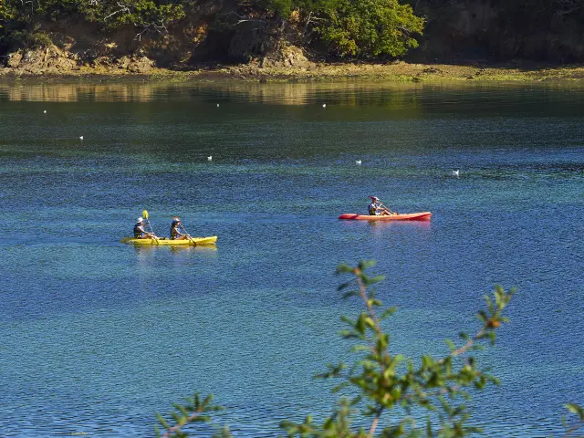 La photo montre une étendue d’eau bleue et verte, avec une berge rocheuse et des arbres en haut de l’image. Deux kayaks sont sur l’eau, assez loin: un kayak jaune avec deux personnes à gauche, et un kayak rouge avec une personne vers le centre-droit. Des oiseaux sont dispersés sur l’eau. Des branches floues apparaissent au premier plan en bas.
