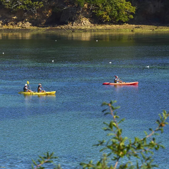 La photo montre une étendue d’eau bleue et verte, avec une berge rocheuse et des arbres en haut de l’image. Deux kayaks sont sur l’eau, assez loin: un kayak jaune avec deux personnes à gauche, et un kayak rouge avec une personne vers le centre-droit. Des oiseaux sont dispersés sur l’eau. Des branches floues apparaissent au premier plan en bas.