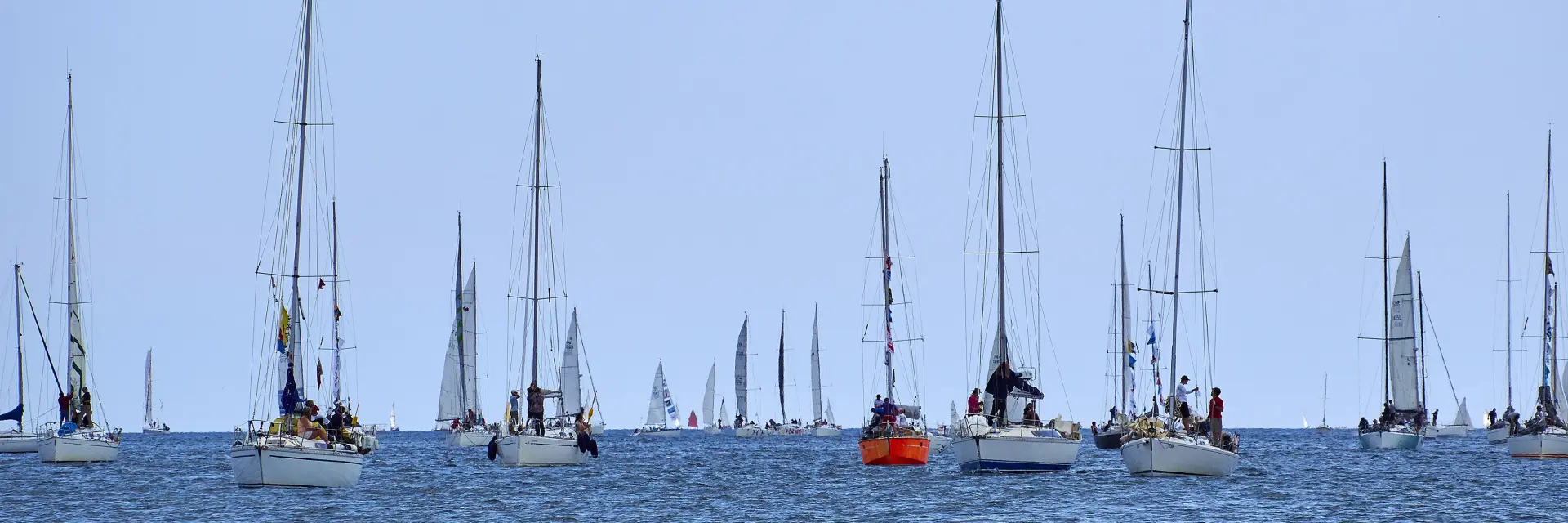 Ein Foto vom Meer mit vielen Segelbooten in der Ferne. Das Bild zeigt einen niedrigen Horizont, dunkelblaues Meer im Vordergrund und einen hellblauen Himmel mit mehreren Masten und Segeln.