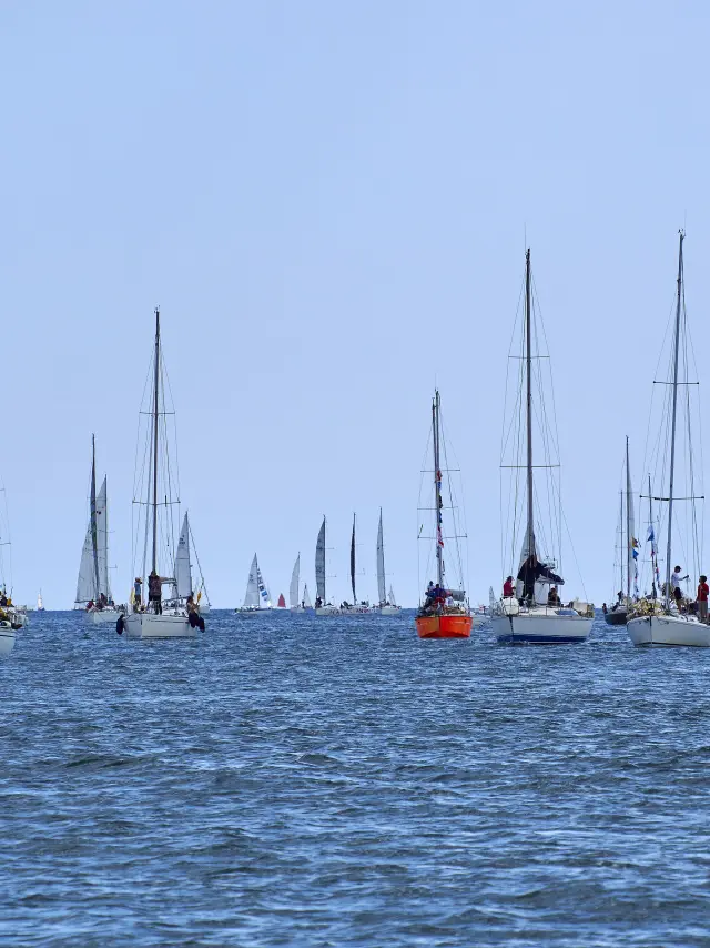 Une photo de mer avec de nombreux voiliers au loin. L’image montre un horizon bas, une mer bleu foncé au premier plan et un ciel bleu clair, avec plusieurs mâts et voiles