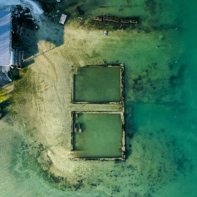 Viviers De La Foret Winter Old Port Shellfish Poriel 1