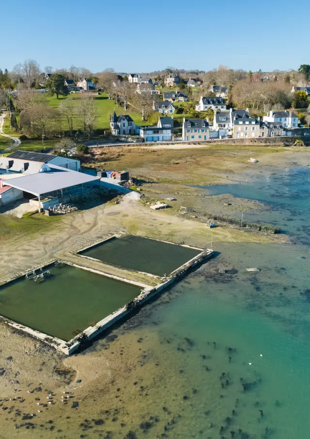 Viviers De La Foret Winter Old Port Shellfish Poriel 2