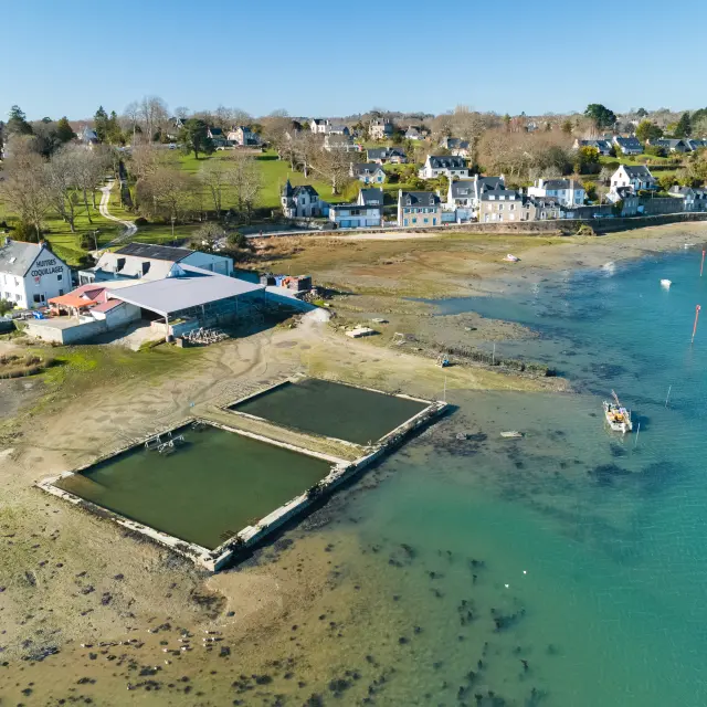 Viviers De La Foret Winter Old Port Shellfish Poriel 2