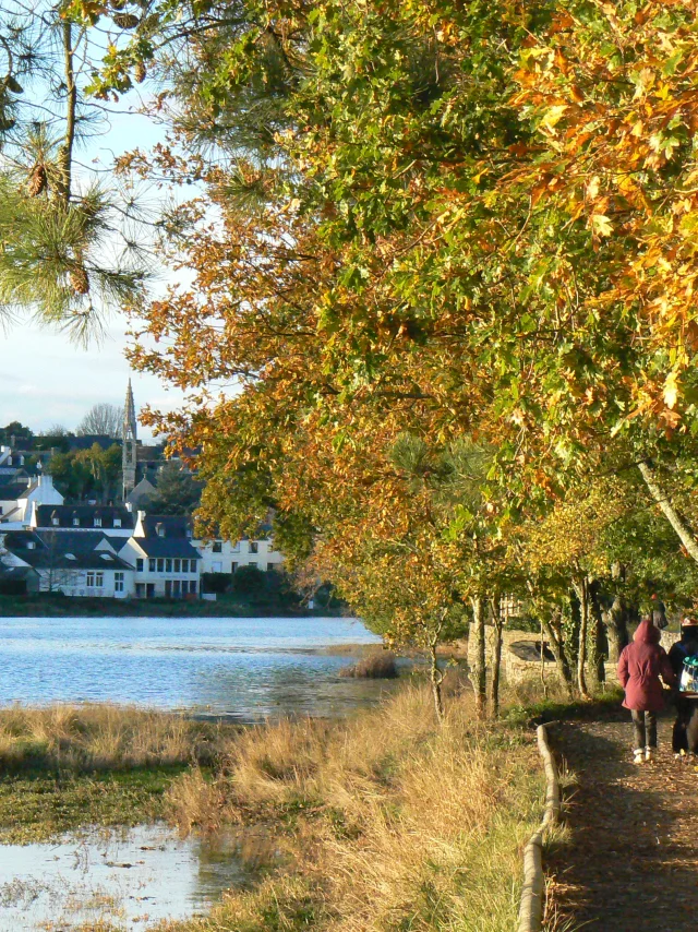 Anse La Foret Fouesnant Randonneur Automne
