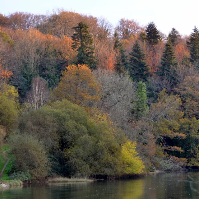 Anse Saint Laurent Autumn Philippe Lavenant